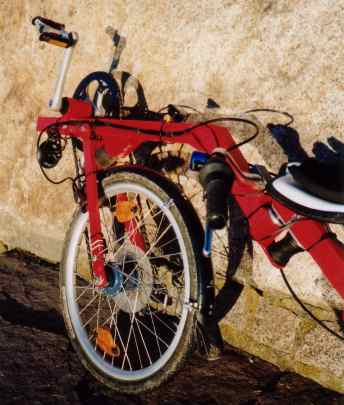 Flevo Vorderteil Vorschau